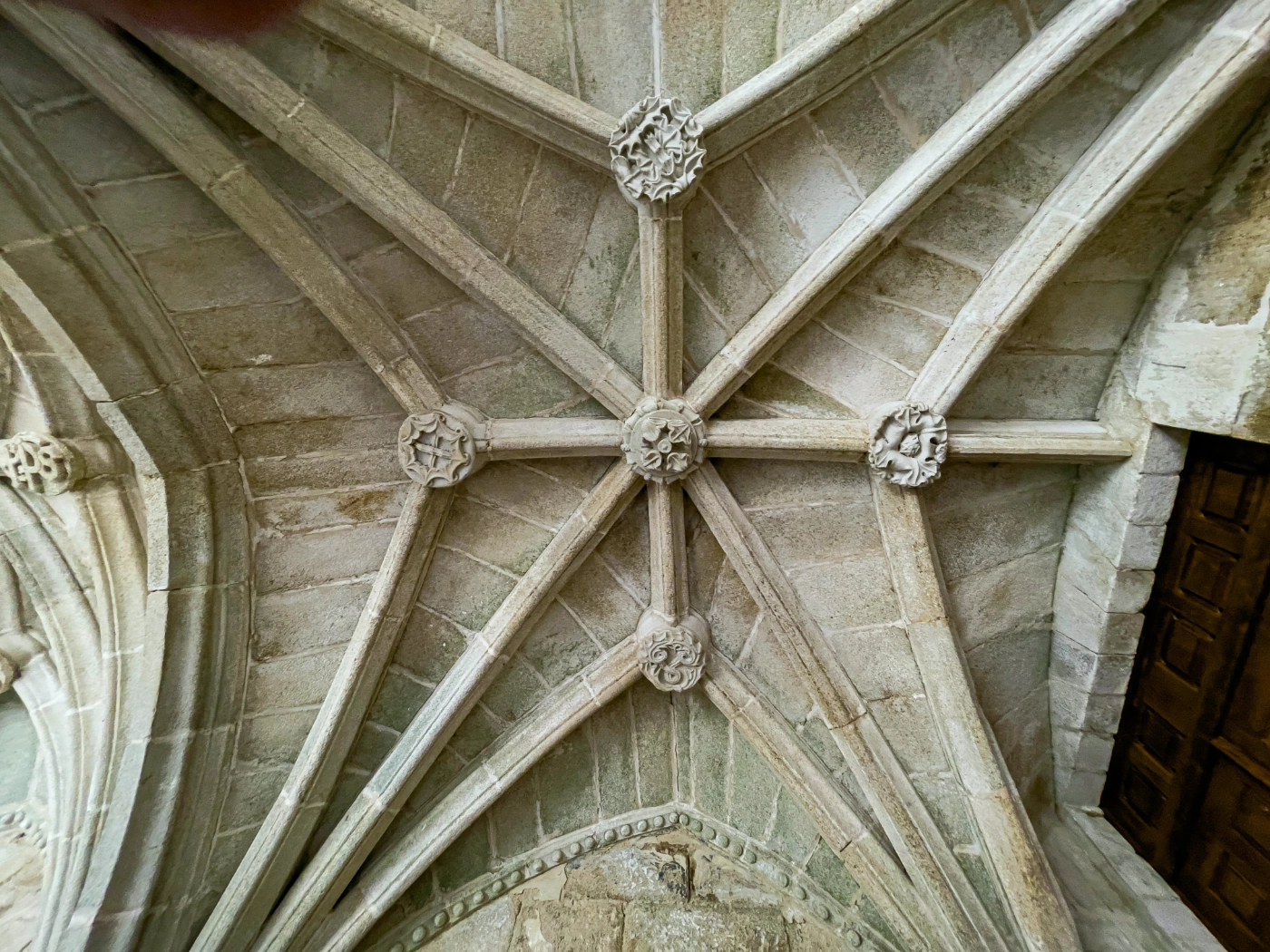 pexels-jose-francisco-fernandez-saura-19558448